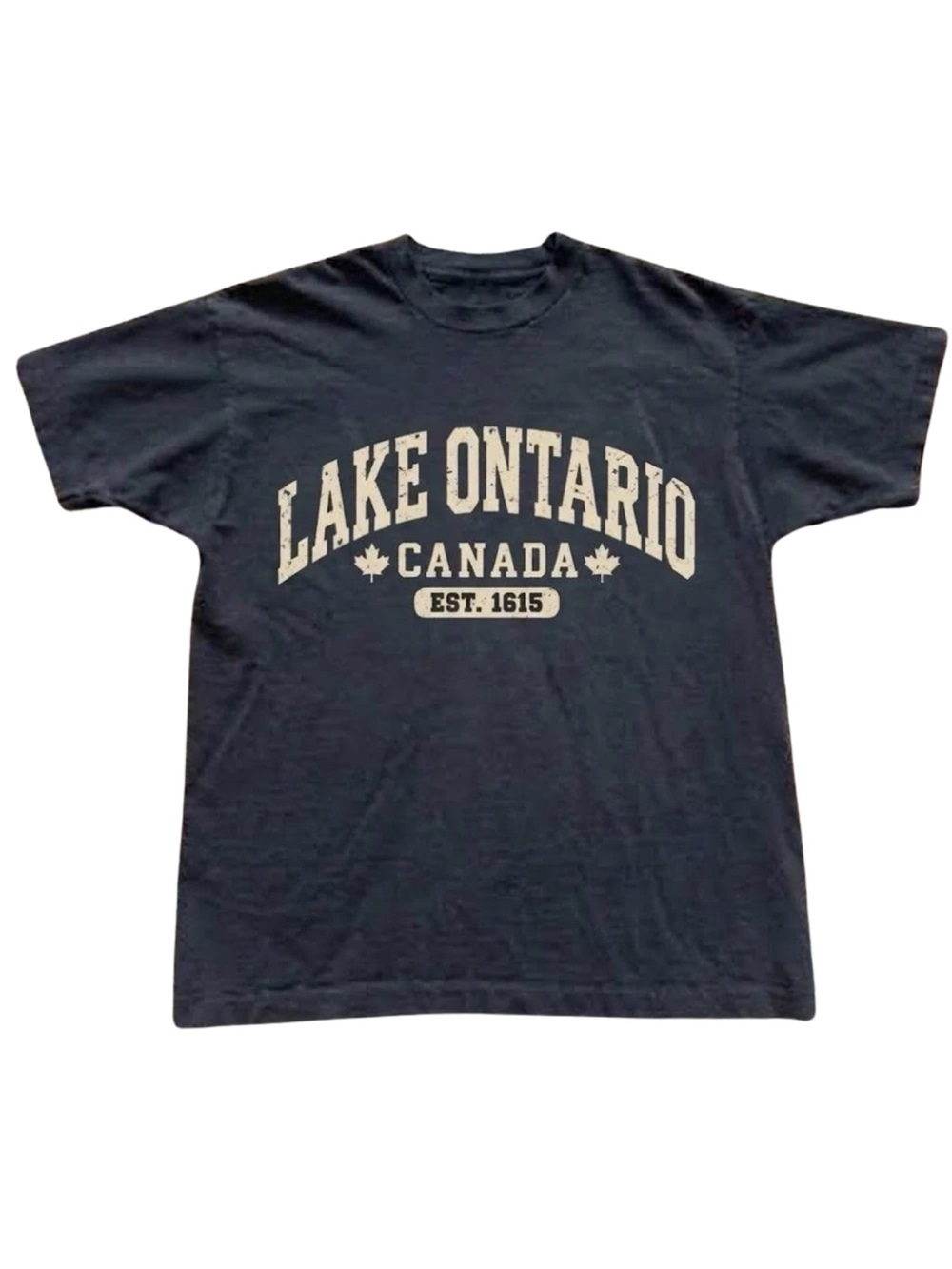 Gildan Lake Ontario Graphic Short Sleeve Tee in Black
